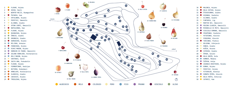 SPF_uncommon fruits spazi map