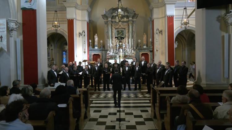 SPF singers corner foto 8