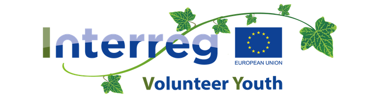 IVY LOGO