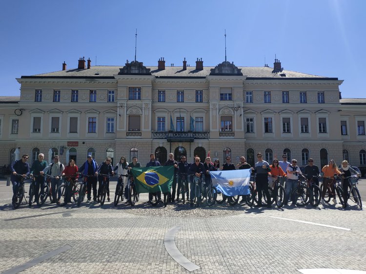 sebrae transalpina