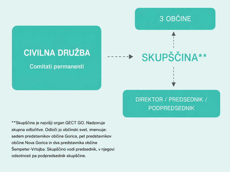 Organizacijska shema EZTS GO: civilna družba je prek stalnih odborov povezana s Skupščino, ki jo imenujejo tri občine; Skupščina je povezana z direktorjem, predsednikom in podpredsednikom.
