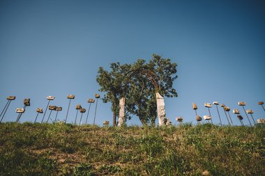 SPF Ars Sine Finibus cover