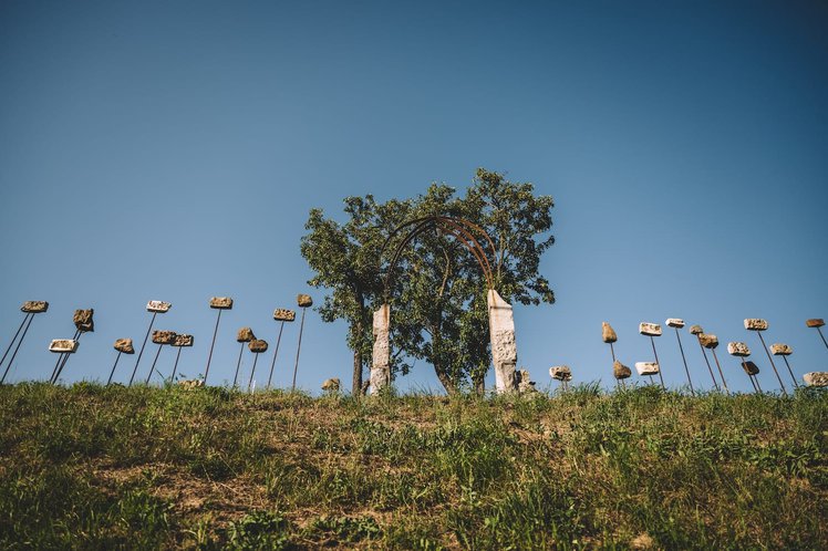 SPF Ars Sine Finibus cover