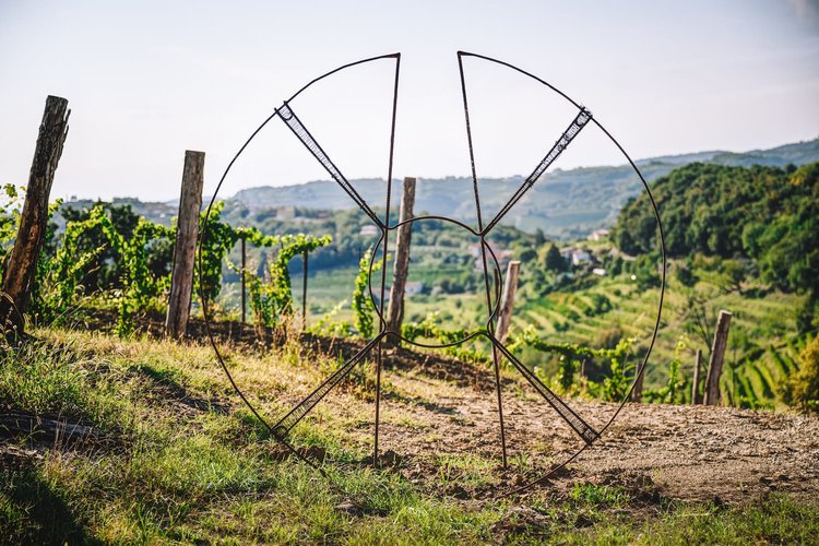 SPF Art Sine Finibus 6