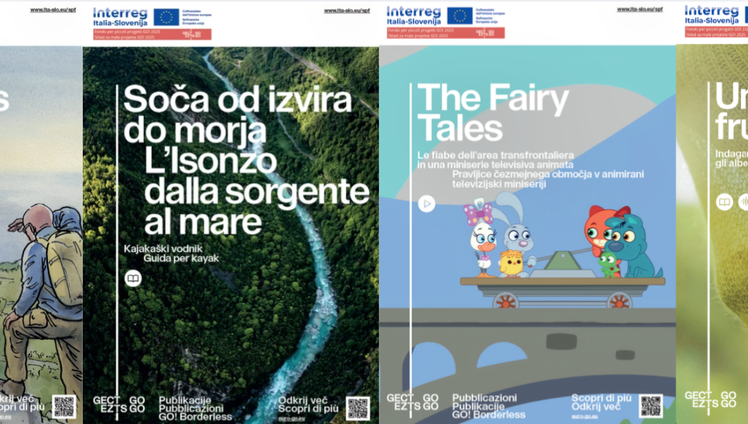 poster pubblicazioni