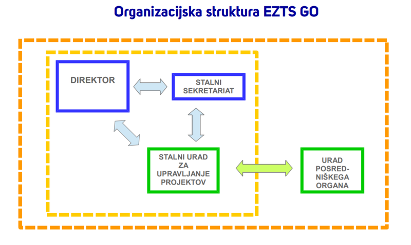organizacijska struktura